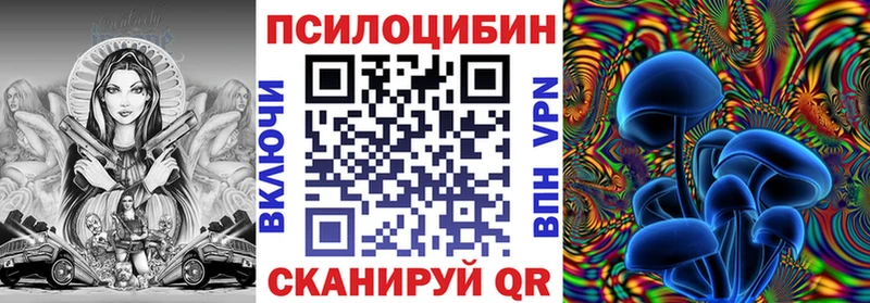 где купить наркоту  Вязники  Псилоцибиновые грибы Cubensis 