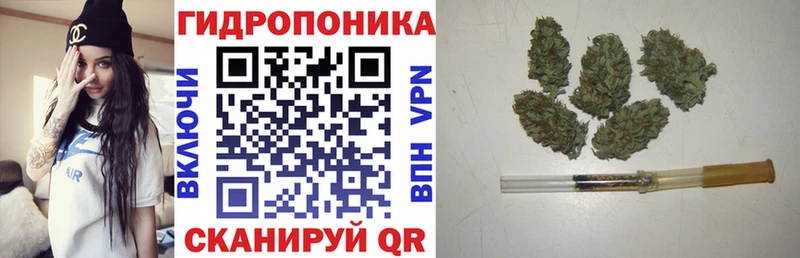 Бошки Шишки индика  закладка  Вязники 